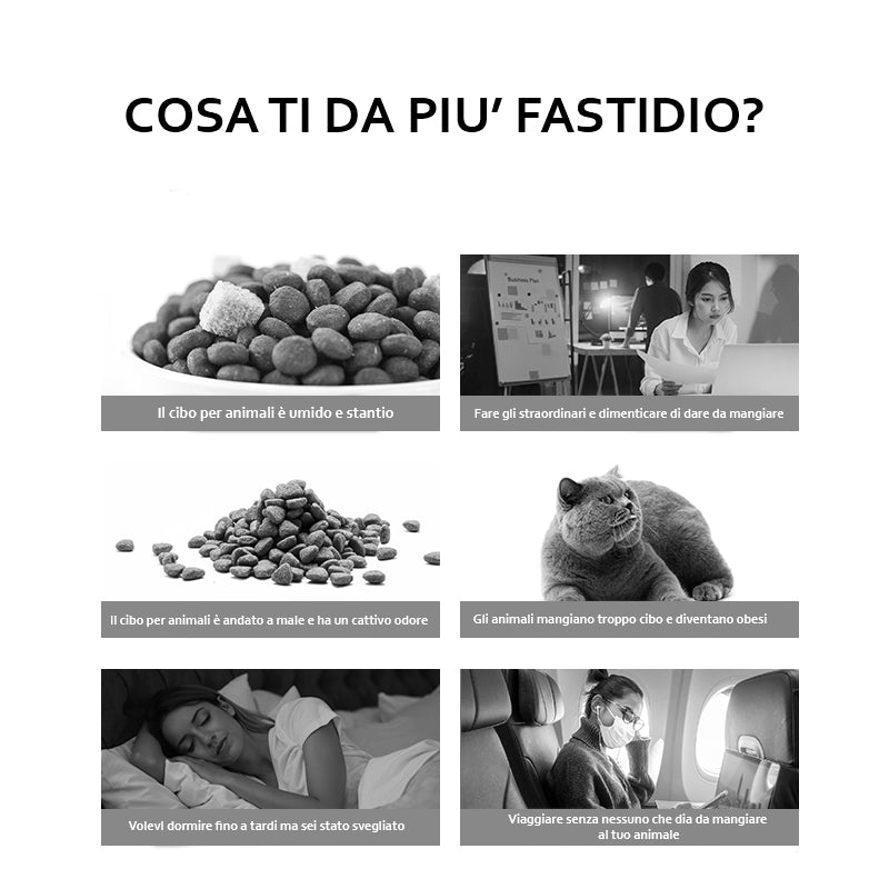 Model H Distributore doppia Ciotola Wi-Fi + Camera Litri 5