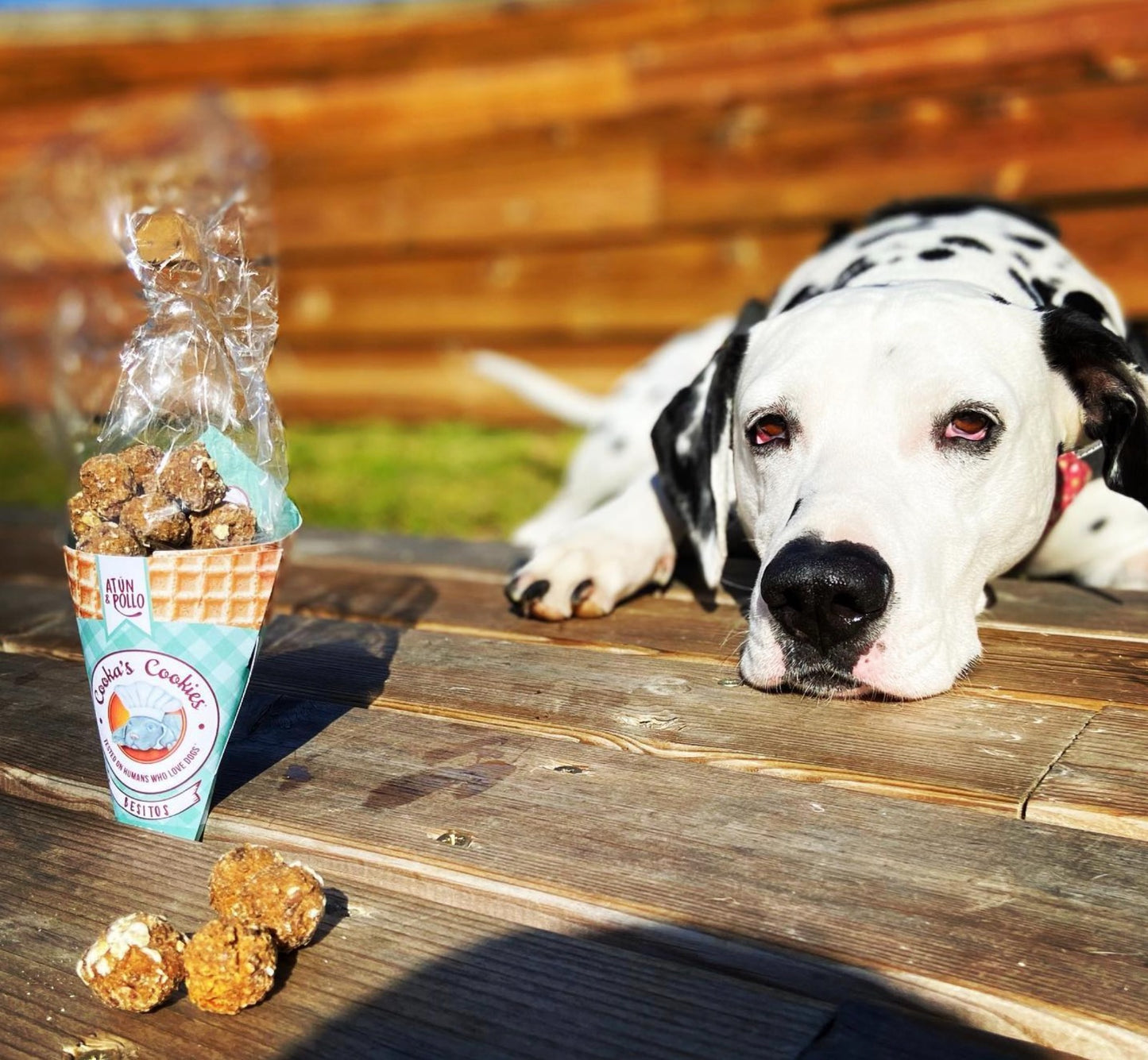 Cooka's Cookies Popcorn gusto Beijinhos di Manzo (Kg/Size:0,050)