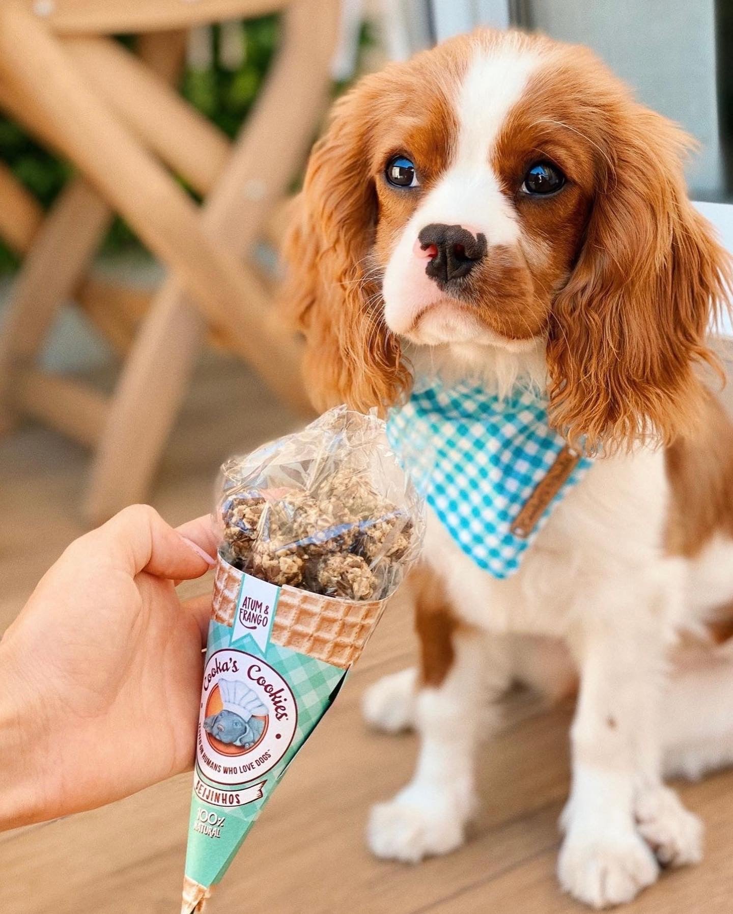 Cooka's Cookies Popcorn gusto Beijinhos di Manzo (Kg/Size:0,050)