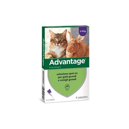 Advantage® soluzione spot-on per gatti e conigli 4 pipette (Kg/Size: 0,1)