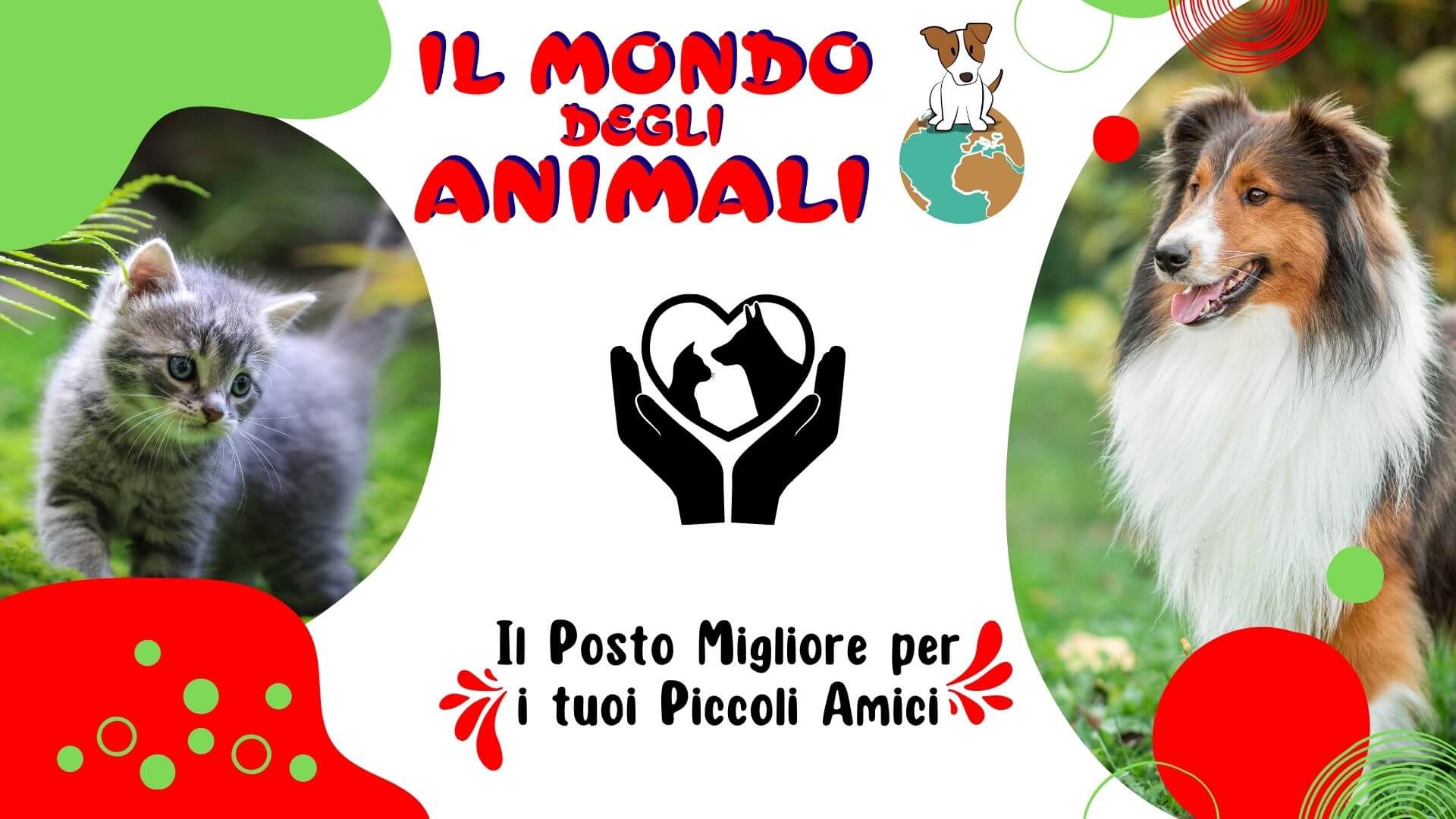 il mondo degli animali, il posto migliore per i tuoi piccoli amici